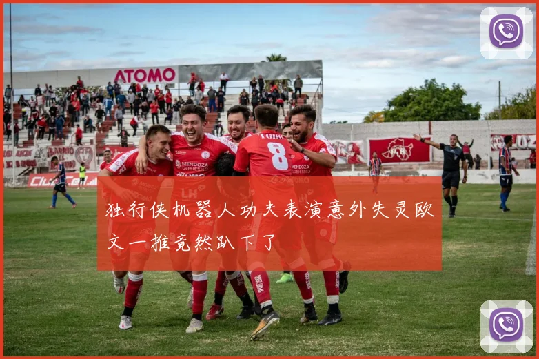 独行侠机器人功夫表演意外失灵欧文一推竟然趴下了