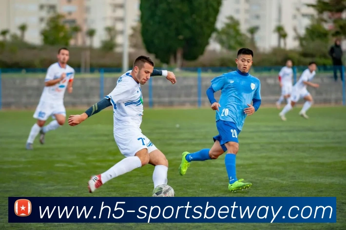 必威体育平台生态图