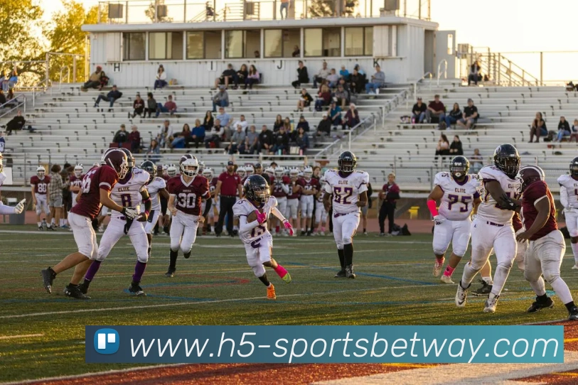 必威体育APP 封面图