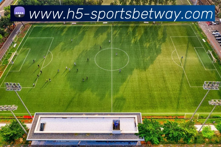 数据防护可视化